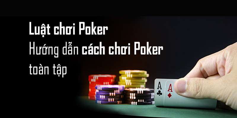Giới thiệu chung về cách chơi poker tại sảnh cược DK8